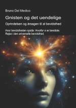Gnisten og det uendelige. Oprindelsen og årsagen til al bevidsthed