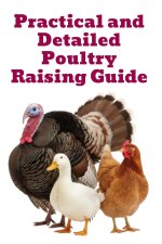 Practical and Detailed Poultry Raising Guide