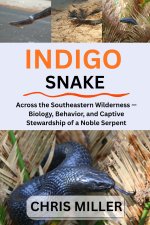 INDIGO SNAKE
