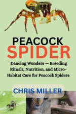 PEACOCK SPIDER