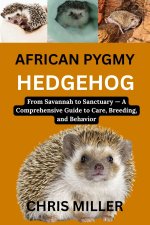 AFRICAN PYGMY HEDGEHOG