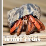 The Little Coffee Table Book
