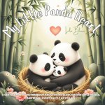 My Little Panda Heart