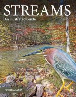 Streams – An Illustrated Guide