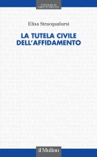 tutela civile dell'affidamento