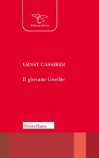 giovane Goethe