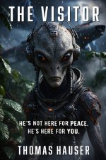 THE VISITOR