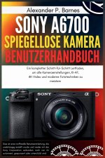 Sony a6700 spiegellose Kamera Benutzerhandbuch