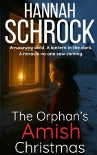 The Orphan's Amish Christmas