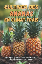 Cultiver des ananas en climat frais