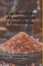 Les bienfaits du sel rose de l'Himalaya