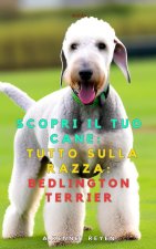 Scopri il tuo Cane