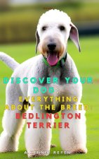 Discover your dog