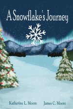 A Snowflake's Journey