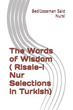 The Words of Wisdom ( Risale-i Nur Selections in Turkish)