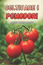 Coltivare i pomodori passo dopo passo