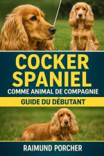 COCKER SPANIEL COMME ANIMAL DE COMPAGNIE