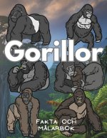 Gorillor fakta och målarbok