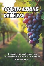 Coltivazione dell'uva