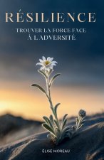 Résilience