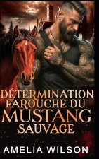 Détermination Farouche Du Mustang Sauvage