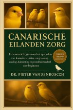 Canarische Eilanden Zorg