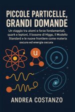 Piccole Particelle, Grandi Domande