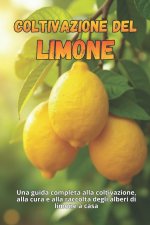 Coltivazione del limone