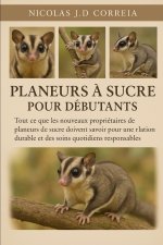 PLANEURS À SUCRE POUR DÉBUTANTS