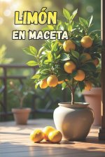 Limón en maceta