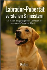 Labrador in der Pubertät sicher führen