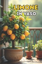 Limone in vaso