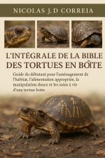 L'INTÉGRALE DE LA BIBLE DES TORTUES EN BOÎTE