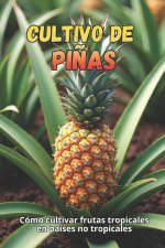 Cultivo de piñas