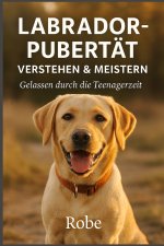 Labrador in der Pubertät sicher führen