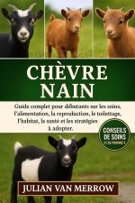 CHÈVRE NAIN