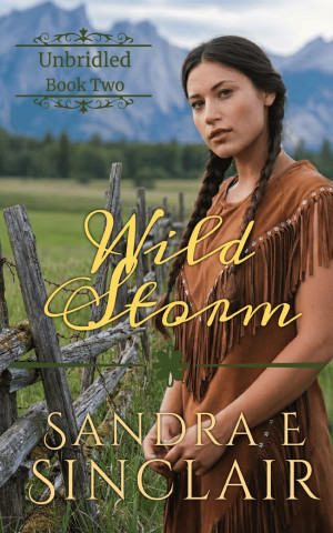 Wild Storm