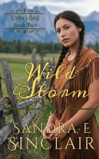 Wild Storm