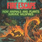 FIRE ESCAPE HOW ANIMALS AND PLANTS SURVIVE WILDFIRES