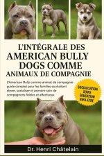 L'intégrale des American Bully Dogs comme animaux de compagnie
