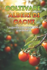 Coltivare alberi di cachi