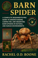 BARN SPIDER