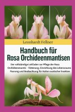 ROSA ORCHIDEENMANTISEN