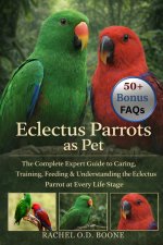 Eclectus Parrots as Pet