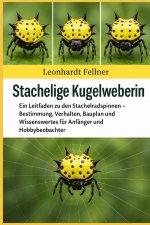Stachelige Kugelweberin