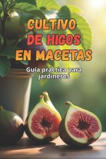 Cultivo de higos en macetas