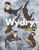 Wydry