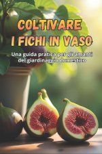Coltivare i fichi in vaso