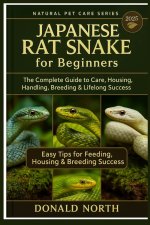 JAPANESE RAT SNAKE FOR BEGINNERS