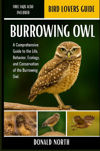 BURROWING OWL